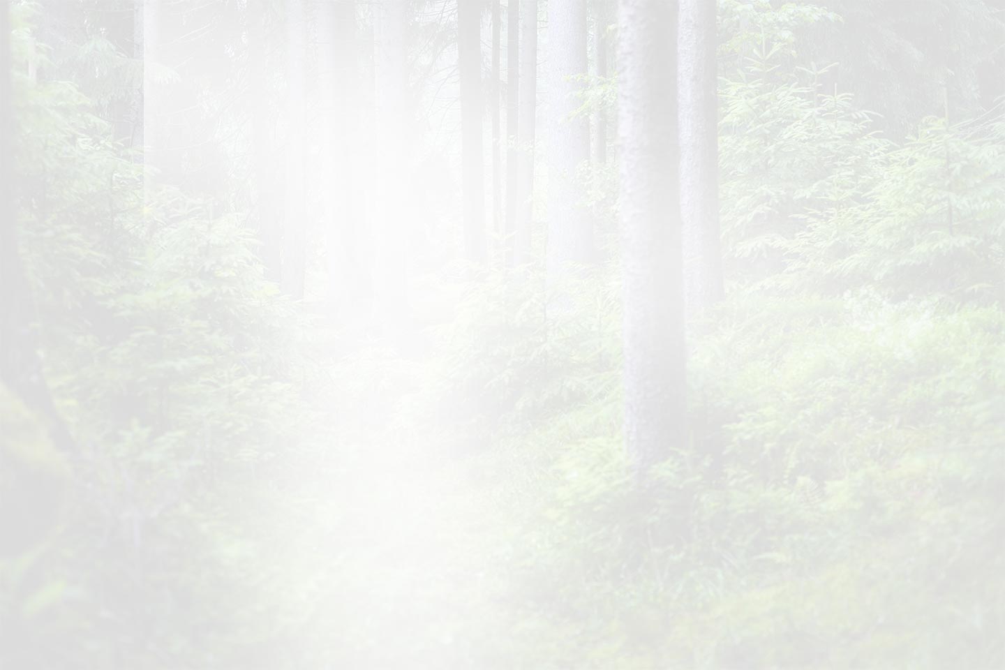 Zhejiang QianDuoMu Decoração Inteligente Co., Ltd.